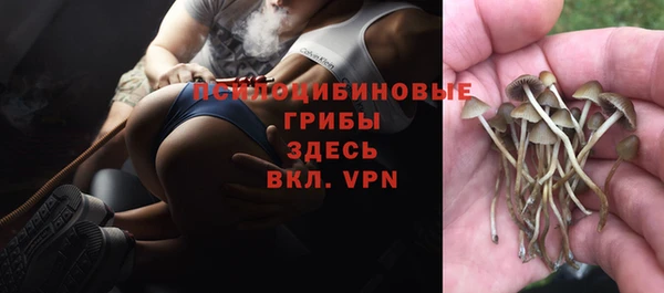 гидропоника Абаза