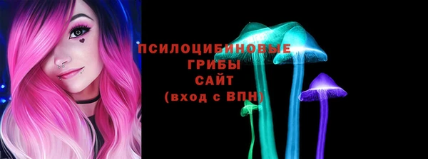 гидропоника Абаза