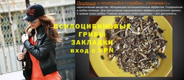 гидропоника Абаза