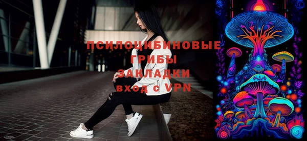 гидропоника Абаза